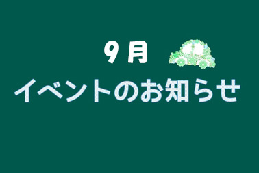 /file/cms/11101/1323784/image.jpg