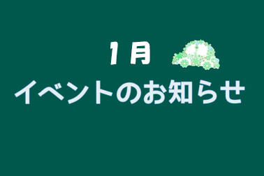 1月チラシ,イベント,お知らせ,旭川,トヨペット,トヨタ