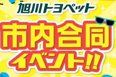/file/cms/11101/428171/image.jpg