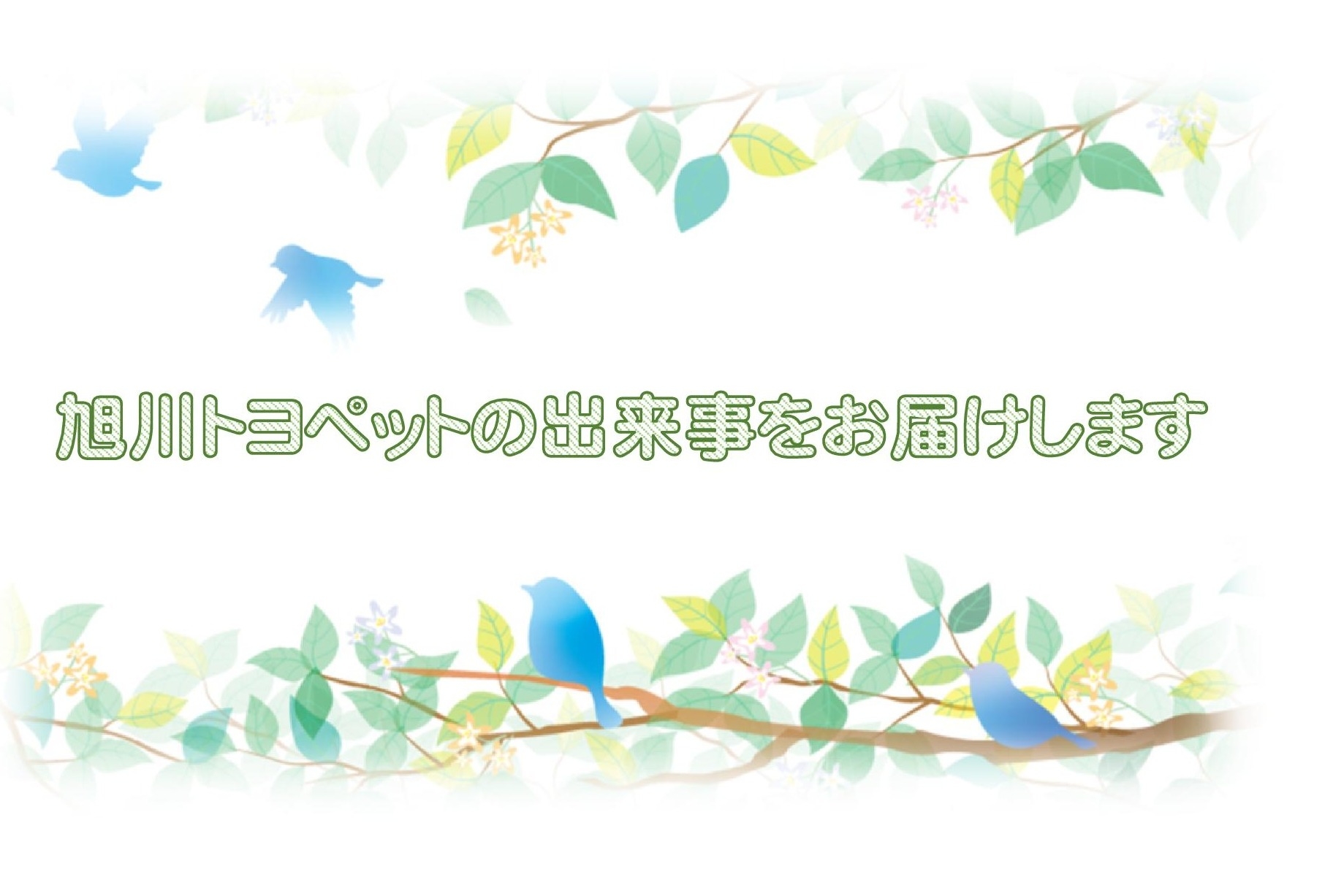 トヨペットだより２０２３ | 旭川トヨペット