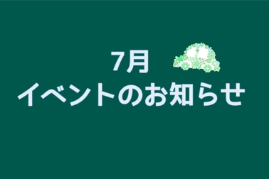 /file/cms/11101/461968/image.jpg
