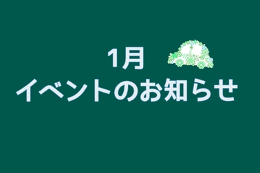 /file/cms/11101/804894/image.jpg
